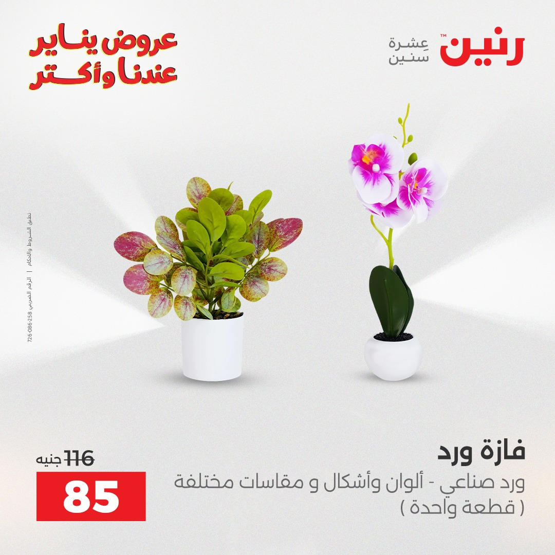 عروض رنين من 8 يناير حتى 10 يناير 2026 صفحة 2 - raneen offers from 8 January to 10 January 2026 page 2